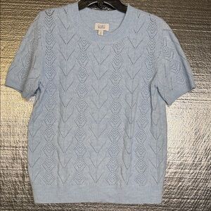 Croft & Barrow Light Blue Crewneck Sweater